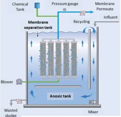 Figure 1. Schematic diagram of a field-scale DMBR TM  system. 
