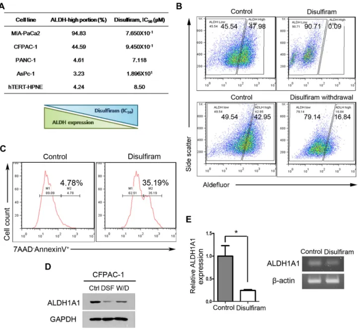 Figure 3.  PDAC-derived cell lines with higher ALDH activity are more sensitive to disulfiram