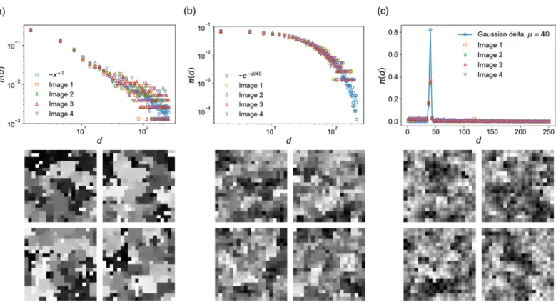Fig 3. Three distinct probability distributions π(d) and simulated images. (a) Power-law distribution π(d) * d −1 ( S = 1) with  d ¼ 42 (b) Exponential distribution