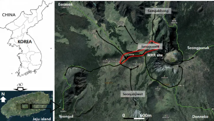 Figure 1. Landscape of study area  with patch environment for the population study of Hipparchia autonoe  on Mt