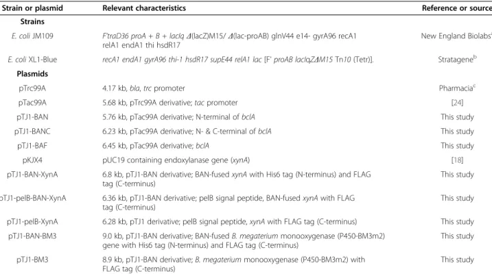 Table 1 Bacterial strains and plasmids used in this study