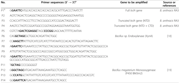 Table 2 Oligonucleotides used for PCR amplification in this study