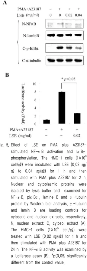 Fig. 5. Effect  of  LSE  on  PMA  plus  A23187-  stimulated  NF-κB  activation  and  IκBα  phosphorylation