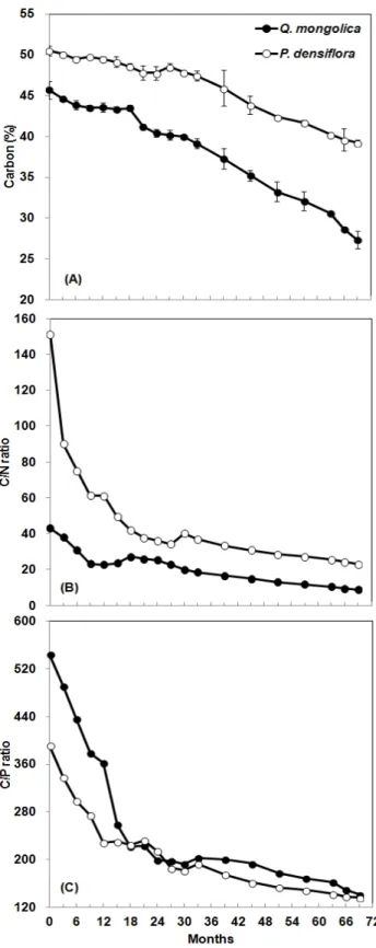 Figure 2. Changes of carbon % (A), C/N ratio (B) and C/P ratio  (C)  in  decomposing  leaf  litter  of  the  Quercus  mongolica  and  Pinus  densiflora  in  the  study  area