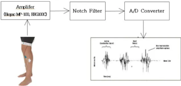 Fig. 3. The position of electrodes