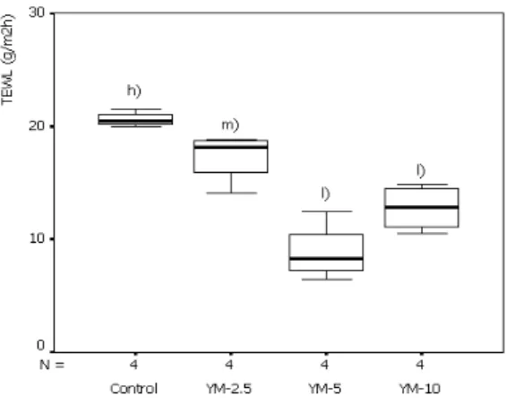 Fig. 4. TEWL of each group.
