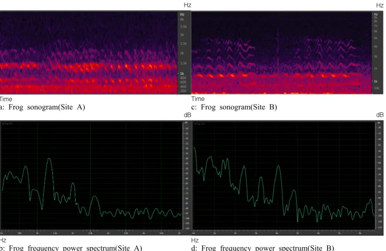 Table 1. One-way Analysis of Variance (ANOVA) for the effect of highway noise on the first harmonic frequency  of frog calls 통계적 차이가 인정되지 않았는데 이는 A지역이 도로와 인접해 있으나 지형의 단차가 있고 산림으로 막혀 있어 고속도 로 소음에 의한 직접적인 영향을 받고 있지 않기 때문으로 판단된다
