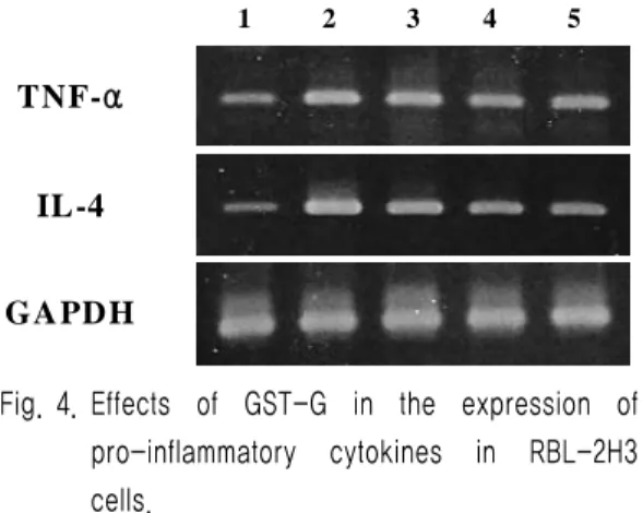 Fig. 4. Effects  of  GST-G  in  the  expression  of  pro-inflammatory  cytokines  in  RBL-2H3  cells