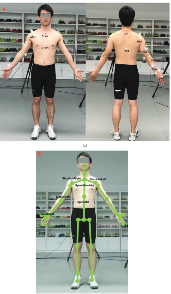 Figure 2: The upper limb models for the Vicon system and the Kinect V2 system ((a) the upper body marker set for the Vicon system; (b) the skeleton model of the Kinect V2 system).
