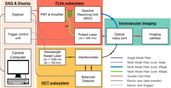 Figure 1.  Schematic diagram of the fully integrated IV-OCT/FLIm system for structural and biochemical 