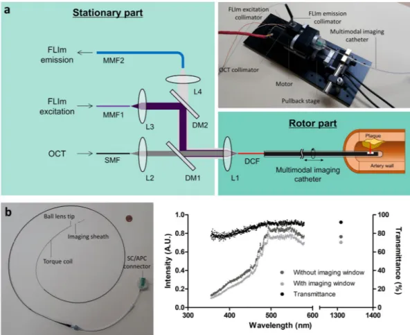 Figure 2.  Optical rotary joint (ORJ) and multimodal imaging catheter. (a) Schematic diagram and photograph 