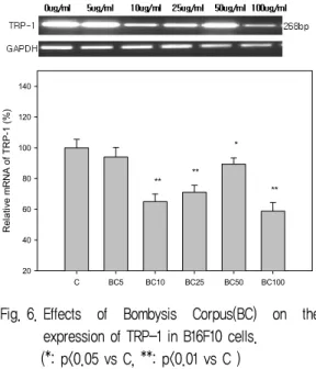 Fig. 7. Effects  of  Bombysis  Corpus(BC)  on  the  expression of PKA in B16F10 cells.