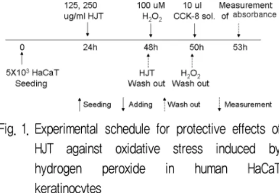 Fig. 1. Experimental schedule for protective effects of  HJT  against  oxidative  stress  induced  by  hydrogen  peroxide  in  human  HaCaT  keratinocytes 