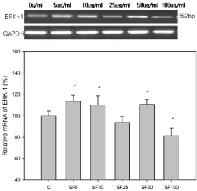 Fig. 8. Effects  of  Schizandrae  Fructus (SF)  on  the  expression of PKA in B16F10 cells.