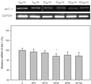 Fig. 11. Effects  of  Schizandrae  Fructus (SF)  on  the  expression of AKT-1 in B16F10 cells.