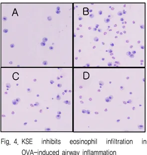 Fig. 4. KSE  inhibits  eosinophil  infiltration  in  OVA-induced airway inflammation. 