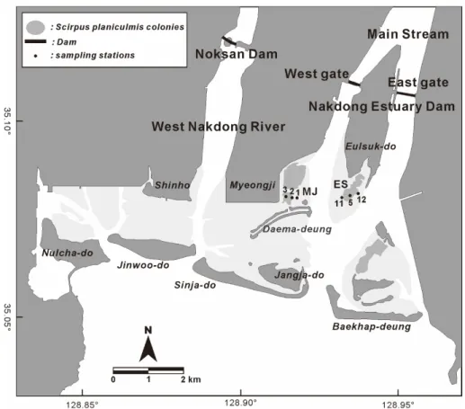 Fig.  2  shows  the  sorting,  skewness,  and  kurtosis  of  the Fig. 1. The location of the sampling stations