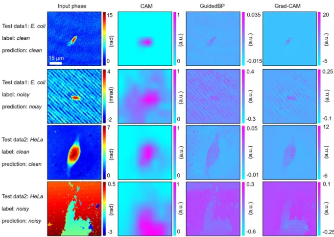 Figure 6.  Visual interpretations of the deep network inference. For each class (clean and noisy) of the phase  image for E