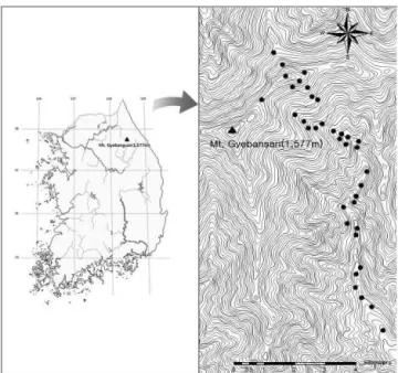 Figure  2.  Map  showing  the  study  site  in  Picea  jezoensis stands  in  Mt.  Gyebangsan (coverage)와  개체수를  조합시킨  우점도(dominance)계급을 층위별로 구분하여 판정 기록하였다