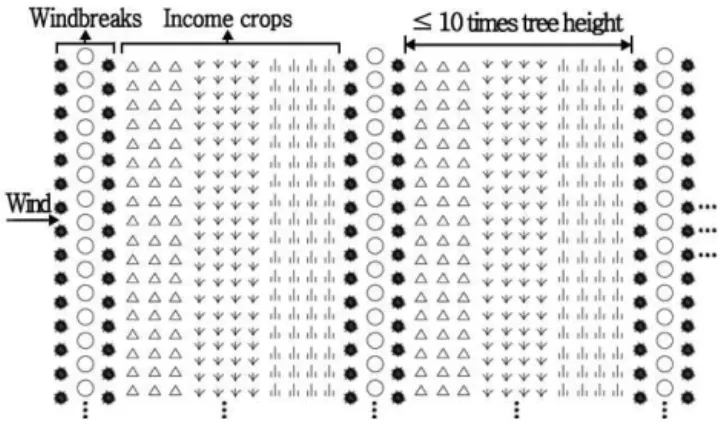 Figure  6.  An  agroforestry  design  example  applicable  to  Elsentasarhai  region  in  Mongolia