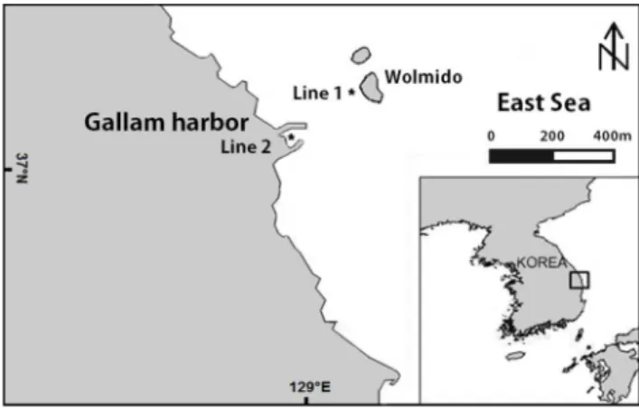 Figure  1.  A  map  showing  the  sampling  sites  at  Gallam, Samchuk,  eastern  coast  of  Korea