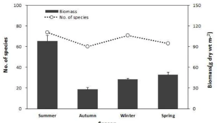 Figure  3.  The  number  of  species  and  mean  biomass  at intertidal  zone  and  subtidal  zone  collected  at  Gallam,  Samchuk,  Korea