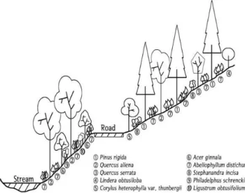 Figure  5.  Range  of  A.  distichum  according  to  IUCN  SSC  red-listing  guideline