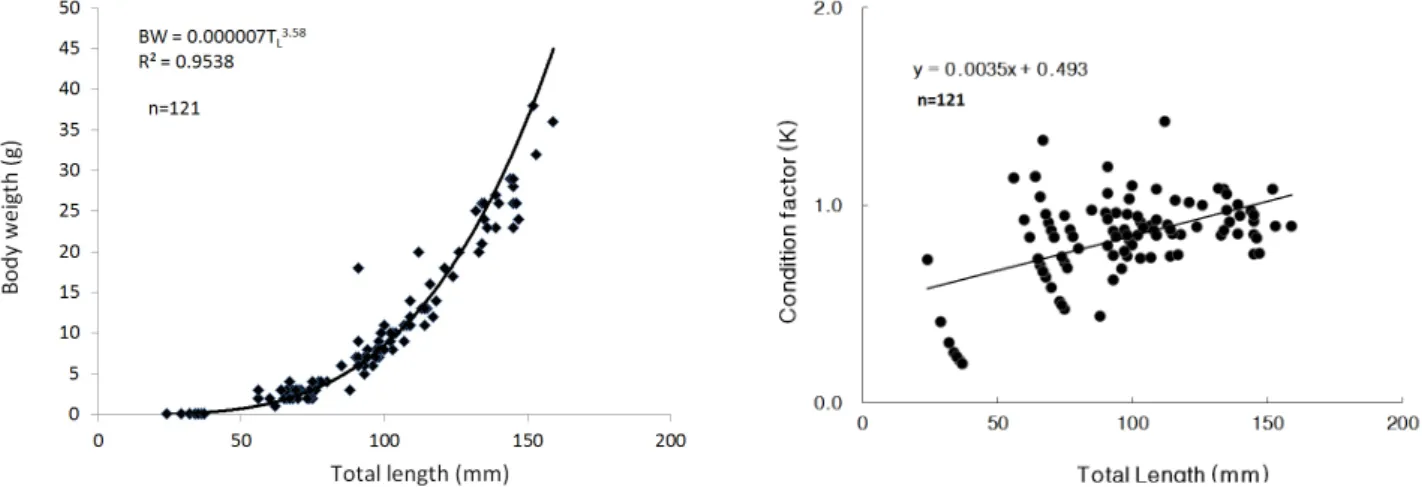 Figure 3. Length-weight relationship and condition factor for Z. koreanus sampled in the Cheonggye Stream from May 2012 al., 2008)