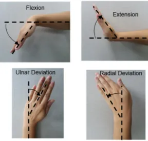 Figure 6. Four wrist motions. 