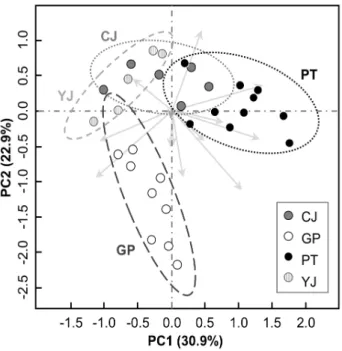 Fig. 4. 2-D plot of principal component analysis (PCA) of  54  A. contorta  individuals with the presence and absence of 14 