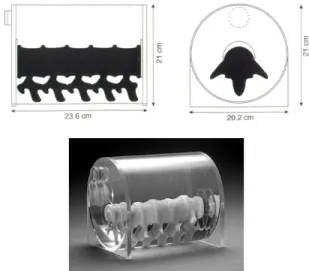 Figure  2  CT/X-RAY  Phantoms  3D  Spine  Phantom  Model  025(CIRS).  This  phantom  included  L-spine