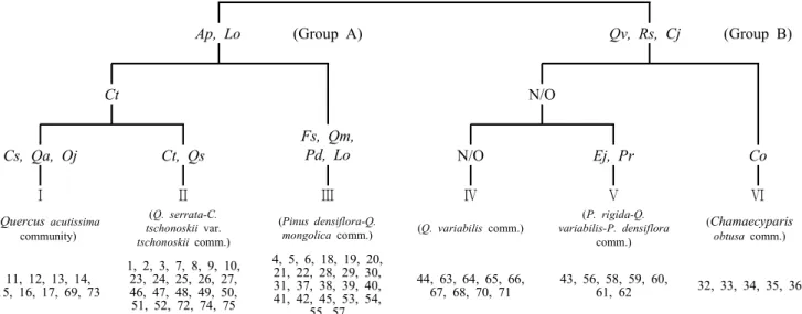Figure  2.  The  dendrogram  of  classification  by  TWINSPAN  using  seventy-five  plots  in  the  Paryeongsan  Zone  of  Dadohaehaesang  National  Park  (Ap:  Acer  pseudosieboldianum,  Lo:  Lindera  obtusiloba,  Qv:  Quercus  variabilis,  Rs:  Rhus  syl