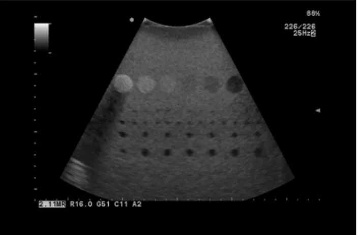 Fig.  9  Gray  scale  &amp;  dynamic  range
