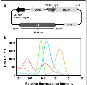 diagram of plasmid pCB4170-sfGFP. Library was constructed by the  randomization of the 32-region (1587 bp) related to the plasmid  replication