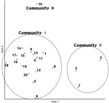 Figure 3. DCA ordination of 20 plots of Dongbaek  -dongsan(Mt.) in Jeju-do 군집별  조사구의  평균상대우점치를  살펴보면(Table 3)  군집  Ⅰ(조사구  16, 17, 18, 20)에서는  종가시나무가  42.6~51.7%로 우점도가 가장 높은 수종으로 분석되었고 구 실잣밤나무가 6.1~15.2%,  감탕나무가 4.6~26.9%,  동백나 무가 4.8~15.8%로 전반적으로 우점도가 높게 나
