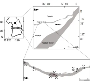 Figure  1.  The  map  showing  the  study  area  in  the  Yanghwa  stream