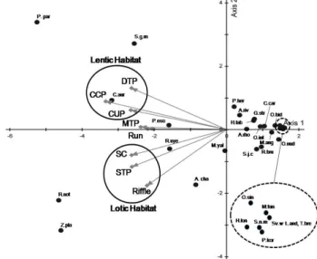 Figure  3.  Cluster  analysis  diagram  between  the  8  sampling  sites  in  the  Yanghwa  stream(DTP  :  Dam  type  pool,  Run  :  Run,  Riffle  :  Riffle,  SC  :  Side  channel,  MTP  :  Meander  type  pool,  CUP  :  Channel  unconnected  pool,  CCP  : 