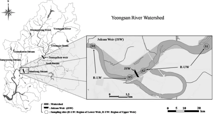 Figure  1.  The  map  showing  the  sampling  sites  and  Juksan  Weir(JSW)  in  the  Yeongsan  River  watershed로부터 국가 4대강 정비·복원 사업이 공식 결정되어 우리나라의 4대강 유역에 총 16개의 인공보(Weir)를 건설하였으며,  본 연구 대상 지역인 영산강 유역에는 승촌보와 죽산보의 2개 인공보 건설이 2011년에 완료되었다