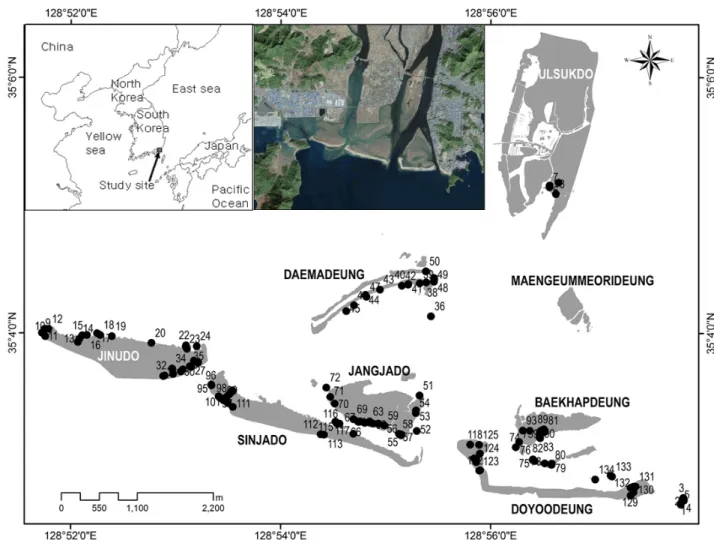 Figure  2.  Sampling  site(•)  of  study  area(The  island  edge  is  not  shoreline.) 결과 및 고찰 1