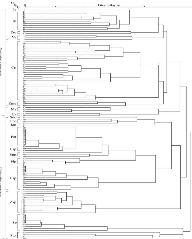Figure  3.  Dendrogram  using  dissimilarity  measure  of  the  vegetation  type(plant  community  types:  see  Table