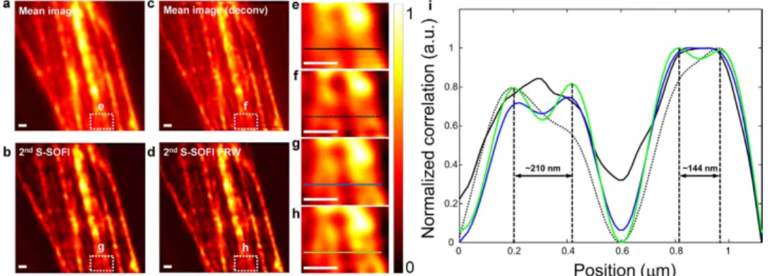Figure 6.  Experimental S-SOFI data of the biological sample obtained with a high NA (1.4) objective  lens and the cross sectional intensity line profiles