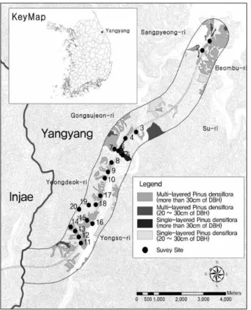 Figure  1.  The  location  map  of  the  survey  plots  in  site 기상구조 변화 등이다.  특히 소나무군락지내 관통하는 도로건설은 식생의 훼손과 더불어 숲 내부의 광량유입을 증가시 킬  수  있다