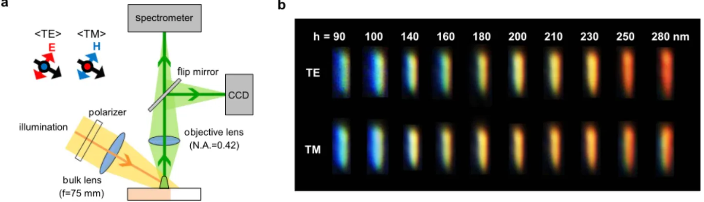 Figure 2.  Full-visible range light scattering of single EBID dielectric nano-rod antennas