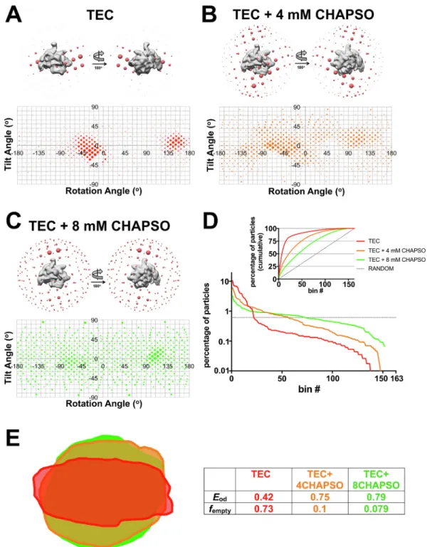 Fig. 4. E ﬀect of CHAPSO on particle orientations is concentration dependent. A – C. (Top Panel) 3D distribution plot of particle orientations