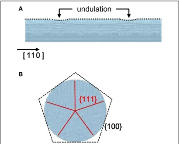 FIGURE 1 | (A) The configuration of the silver nanowire with aspect ratio 6 in perspective view