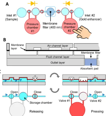 Figure 1. Design and working principle of the device. (A) Schematic of the device. (B) A membrane 