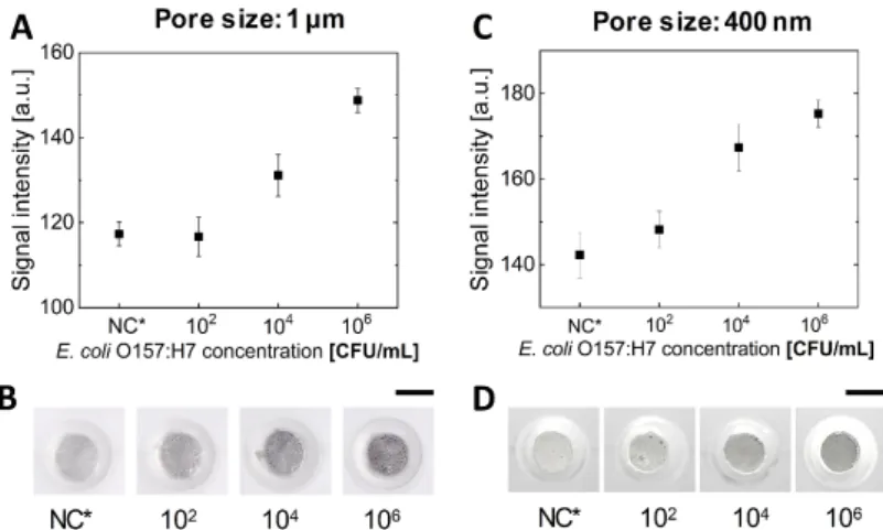 Figure 3. Effect of the pore size of the membrane filter on the negative control. (A) The size distribution