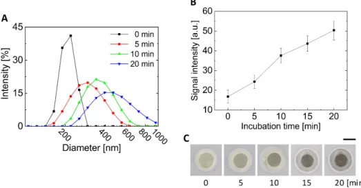 Figure 5. Effect of the gold enhancer on the colorimetric signal. (A) Size change of MNPs according  to the incubation time in a gold enhancer solution