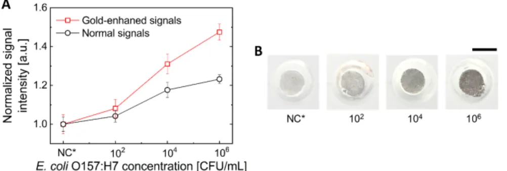 Figure 5. Effect of the gold enhancer on the colorimetric signal. (A) Size change of MNPs according  to the incubation time in a gold enhancer solution