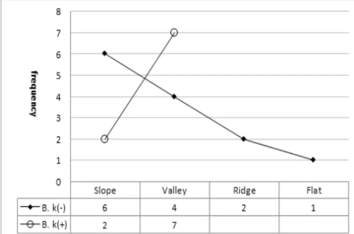 Figure 6. The comparison of aspect between Bk(+) group and  Bk(-) group